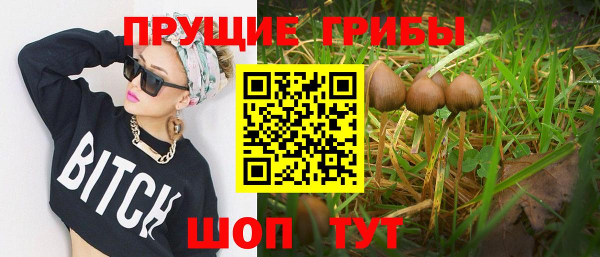Галлюциногенные грибы Cubensis Славгород