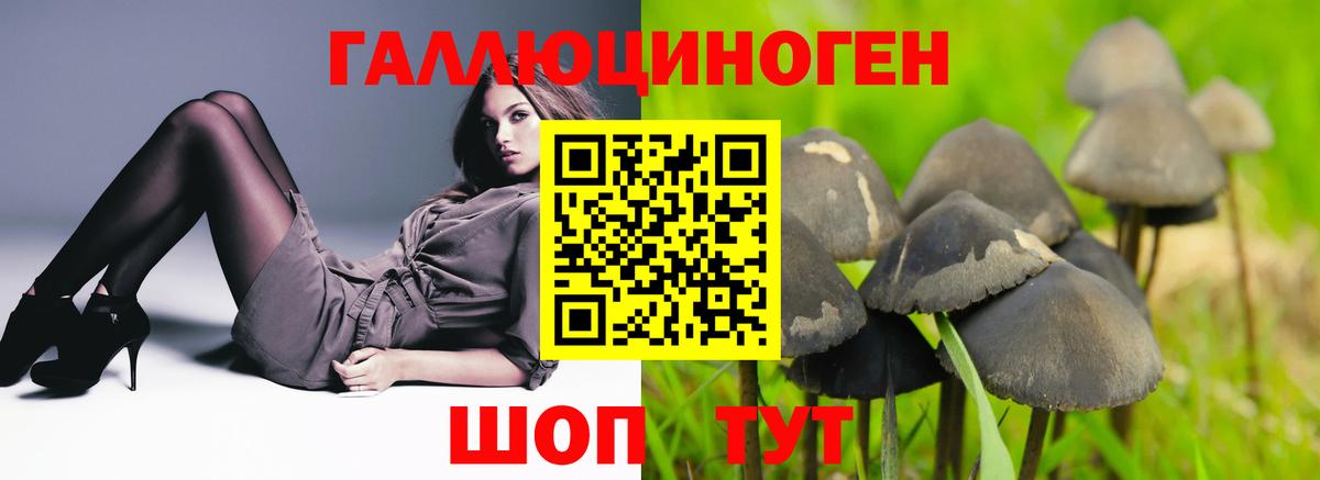Псилоцибиновые грибы мухоморы  Вход с VPN  Славгород 