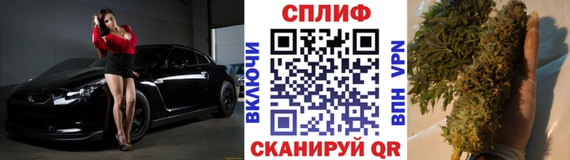 купить закладку  Славгород  кракен   Бошки Шишки марихуана 